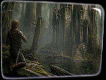 Forest Keep