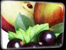 Pixley Berries - Apple and Blackcurrant