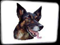 Dogs Three