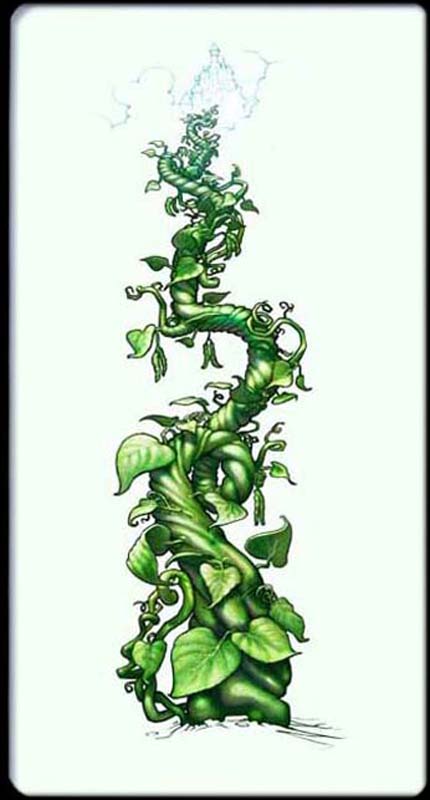 Beanstalk