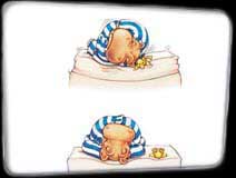 Silentnight Footsheet