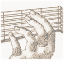 Lute Chords