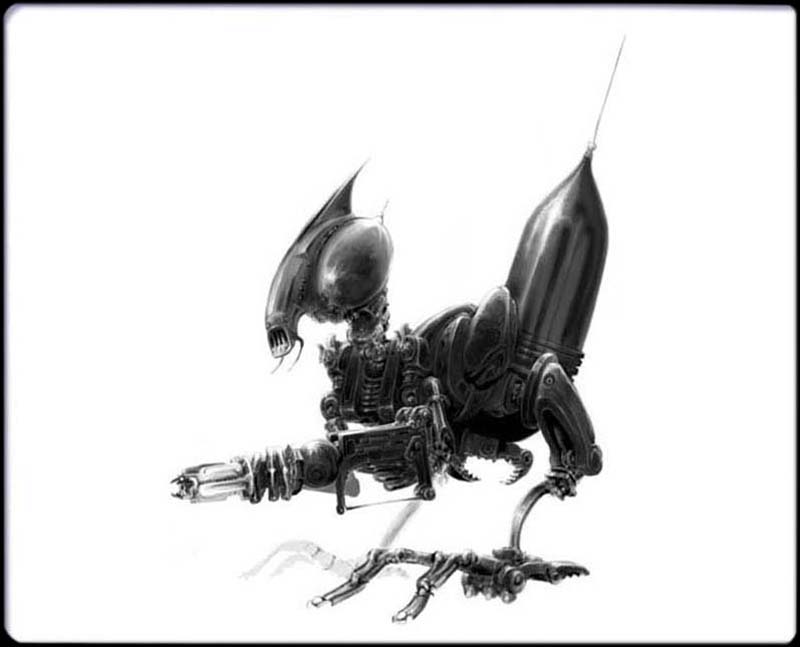 Voyd