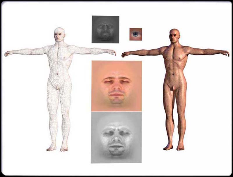 Male Nude Tough Wire Composite