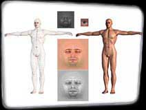 Male Nude Tough Wire Composite