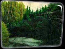 Mum's Landscape Stain