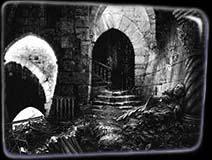 Cellar
