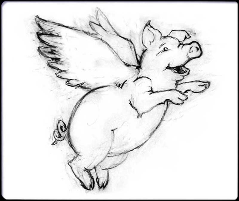 Pig Joy 2