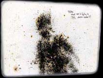 Thinks - What Am I Doing In This Sketchbook?