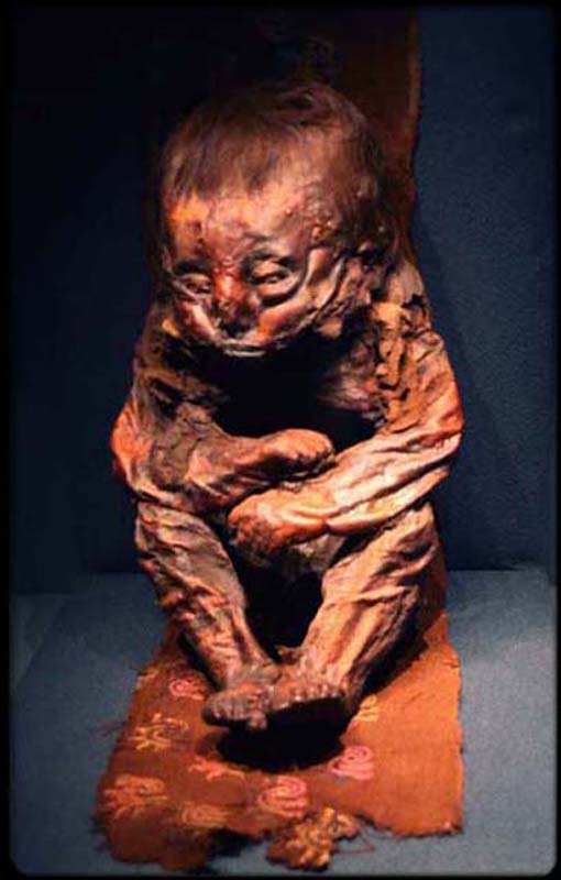Infant