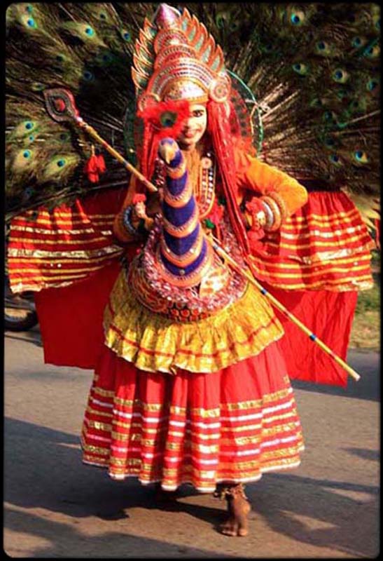 Kerala Peacock