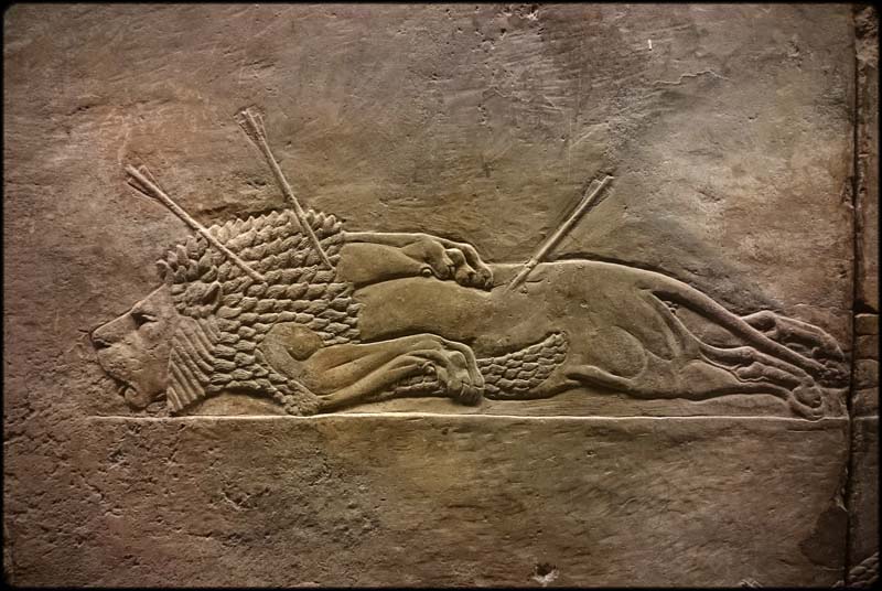 Lion Slain
