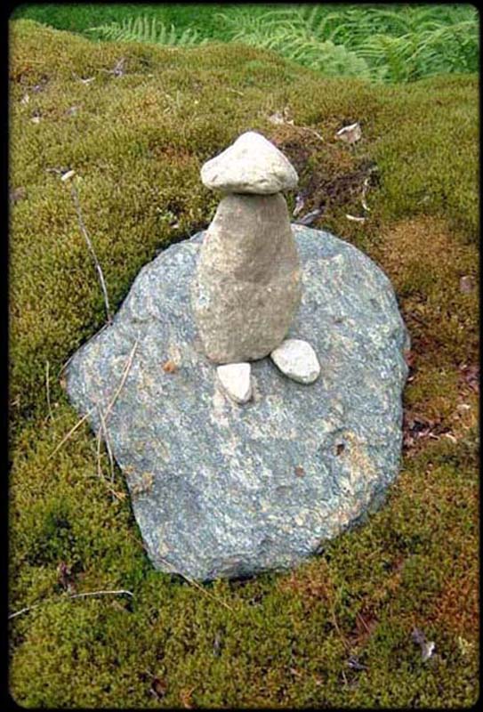 Fertility