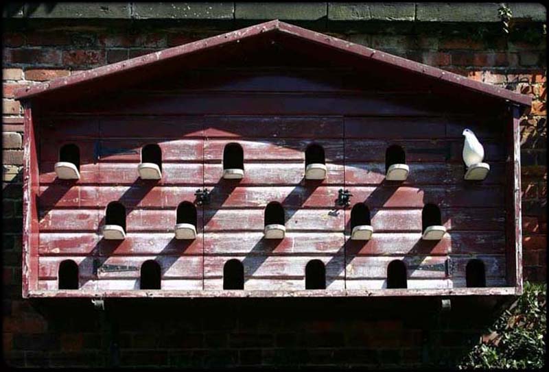 Dovecote