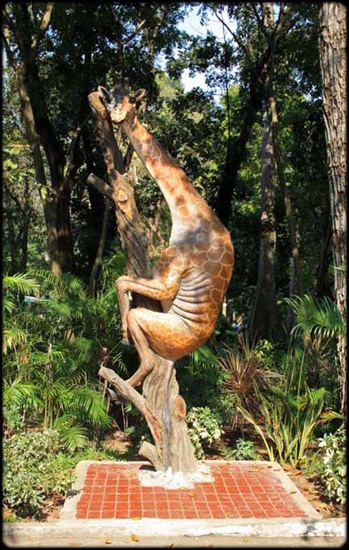 Giraffe Climb