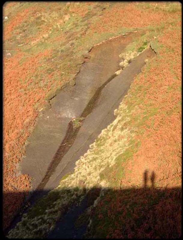 Shadows