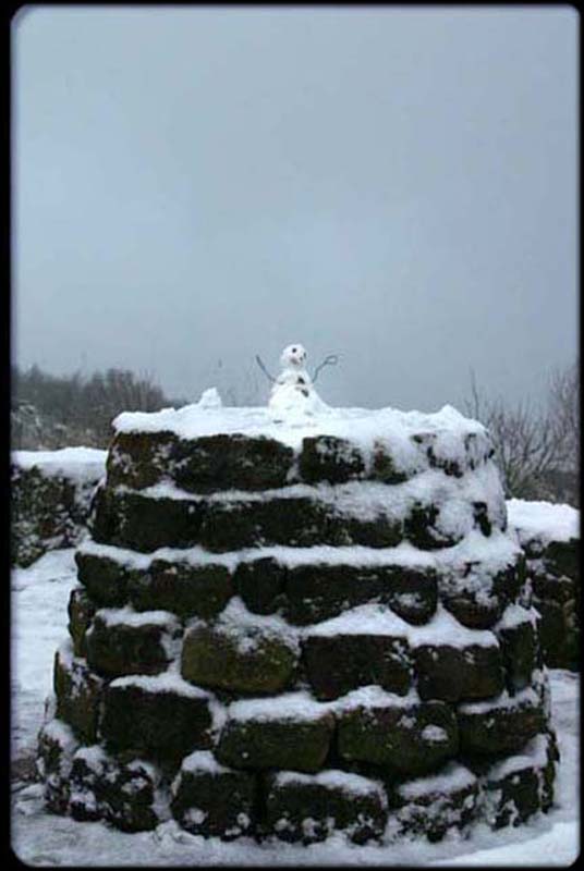 Snowman