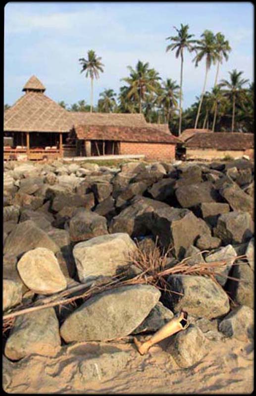 Legless in Goa