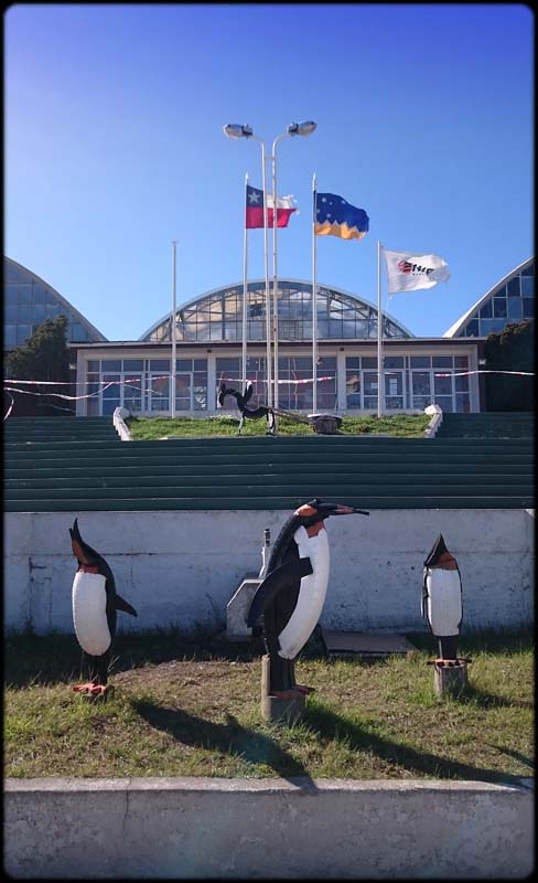Penguins