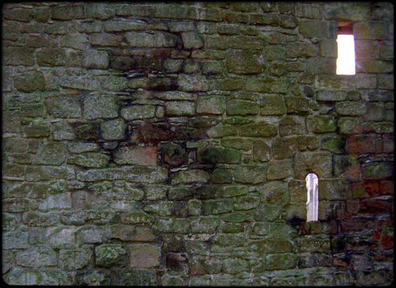 Bolton Abbey Wall