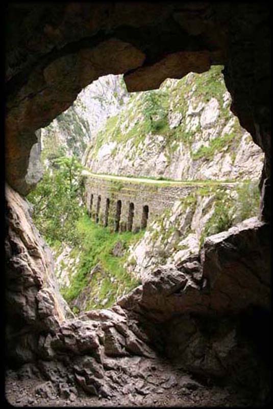Picos de Europa