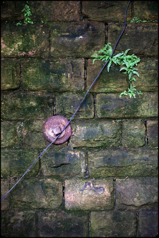 Wrought Pink Iron