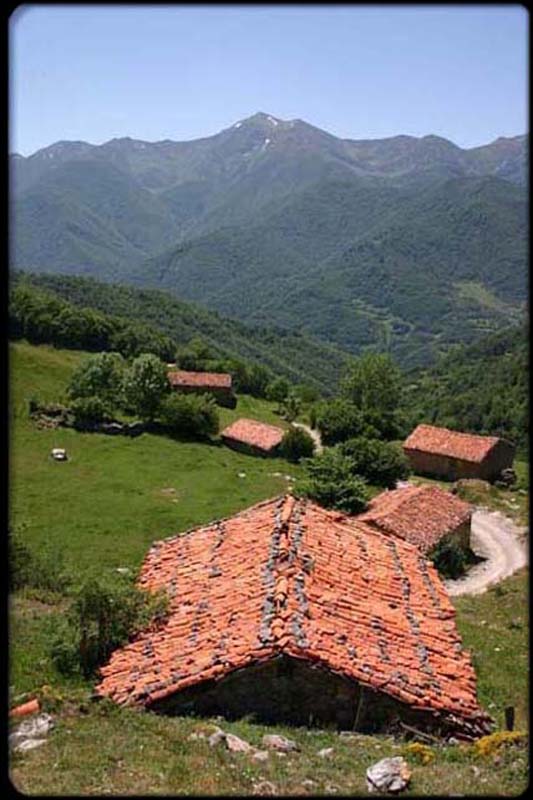 Astorias