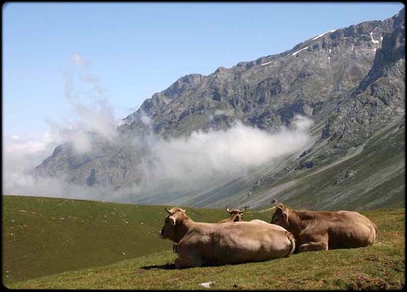 Cantabria