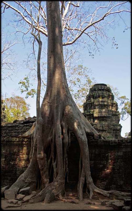 Beng Mealea