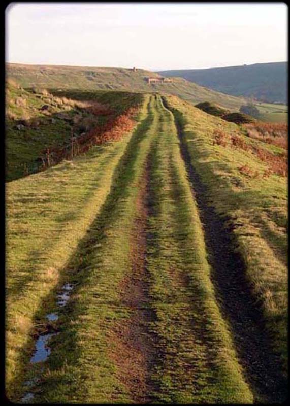 Rosedale Track