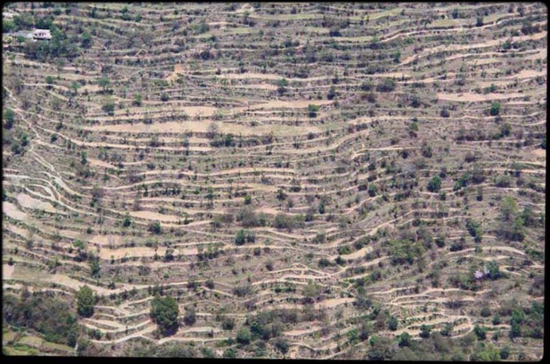 Terraces