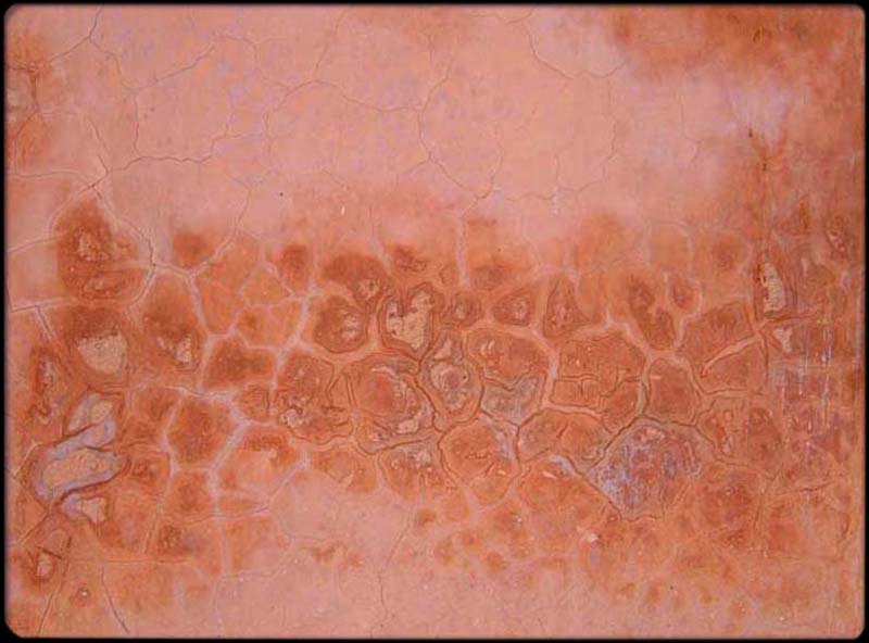 Marrakech Wall 2