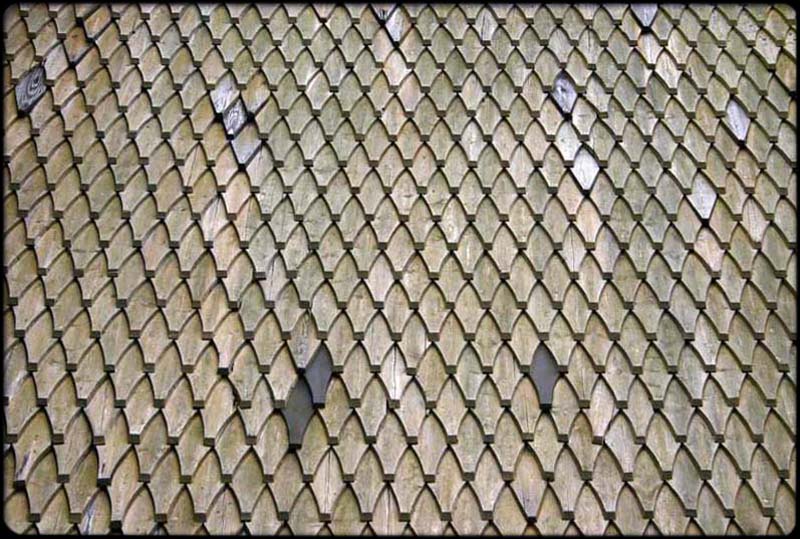 Norse Roof