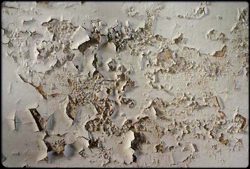 Paint