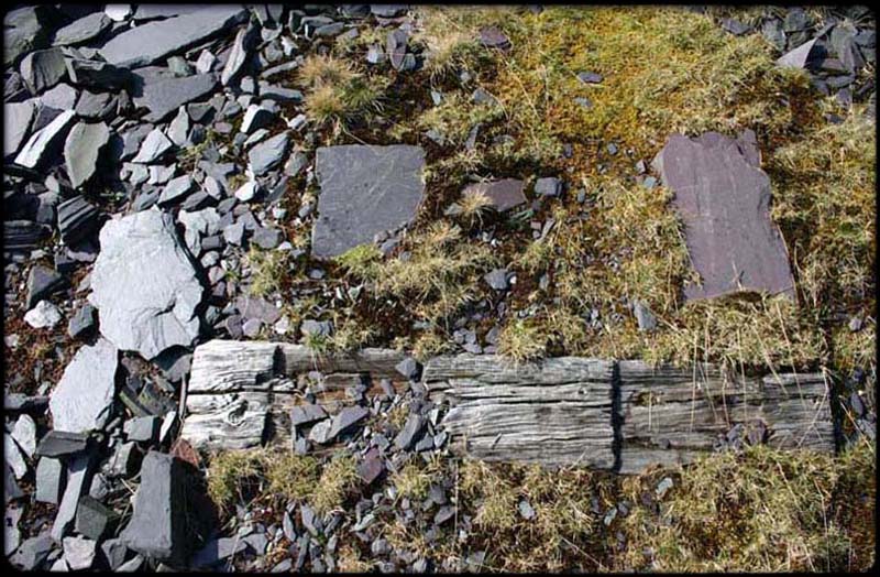 Slate