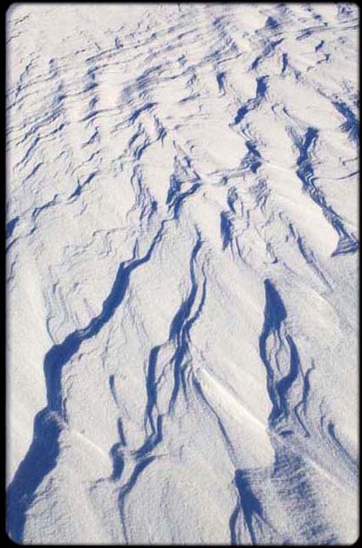 Snowdrift