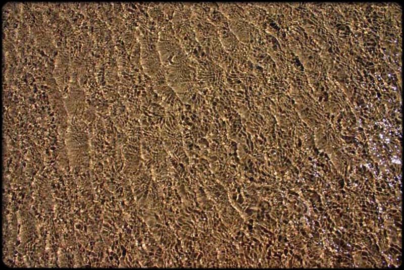 Tide