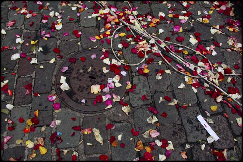 Strewn