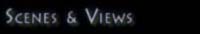 Scenes and Views